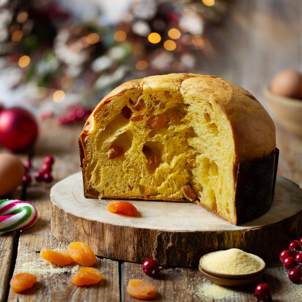 Apricot and Corn Flour Panettone